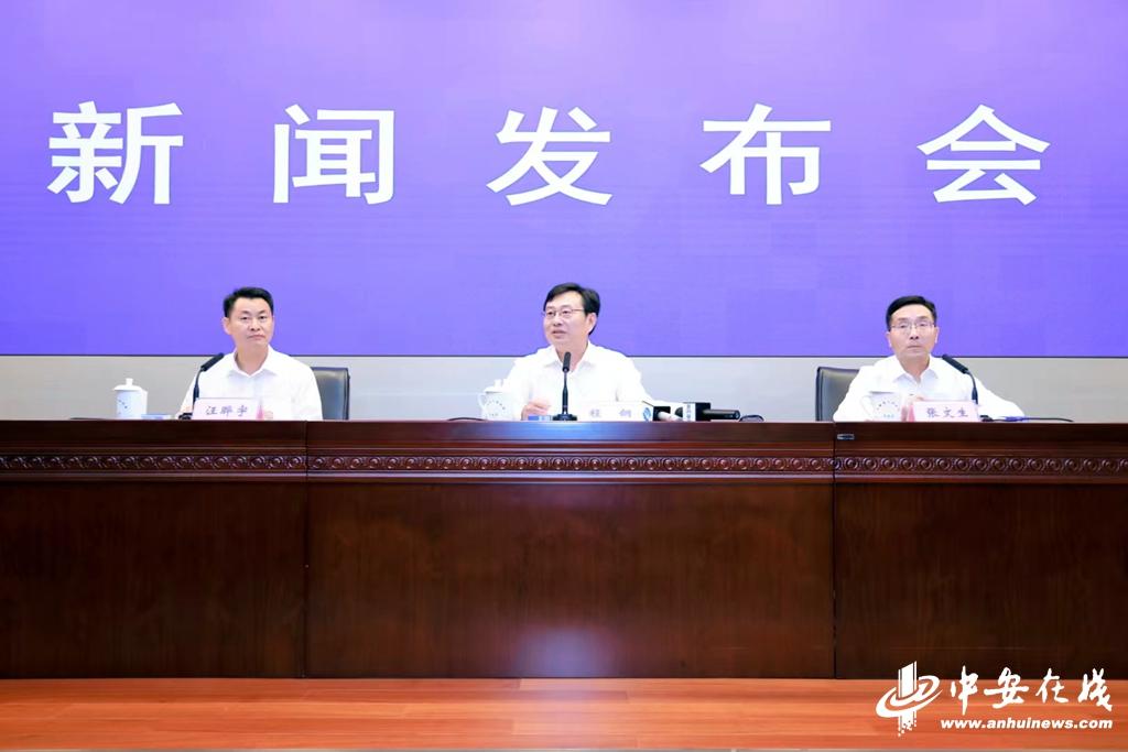 安徽省人民政府办公厅印发推进企业上市迎客松行动计划通知