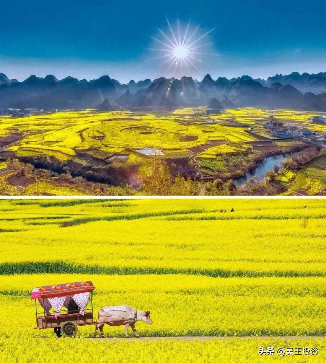 什么叫裸卖空_A股裸卖空利好_彻底放开裸卖空