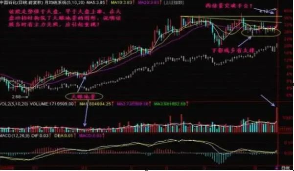 妖股底部涨停板分析_股票第二天有溢价是什么意思_底部巨量涨停次日低开原因