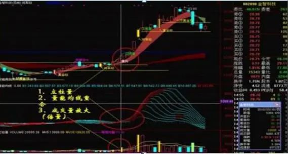 股票第二天有溢价是什么意思_底部巨量涨停次日低开原因_妖股底部涨停板分析
