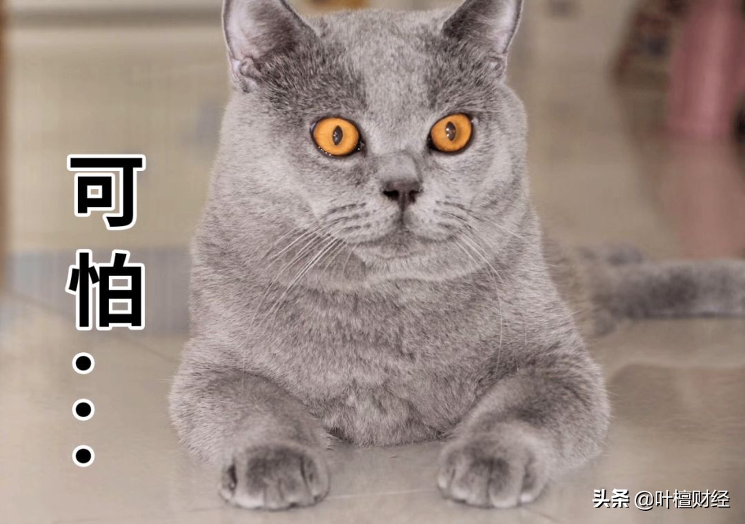 股票 加杠杆_ 银行理财子公司入市政策 _