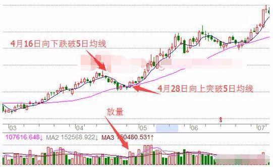 股市如人生，耐心持股方能成赢家，远离赌徒心理是关键