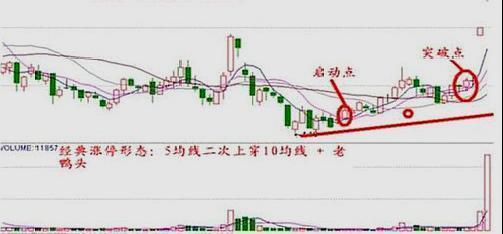 赌徒心理股市影响_牛熊市五周均线都有效_交易心态控制