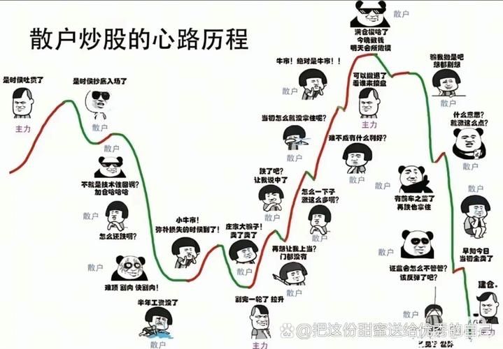 股票配资入门基础知识_炒股配资风险控制技巧_配资知识门户
