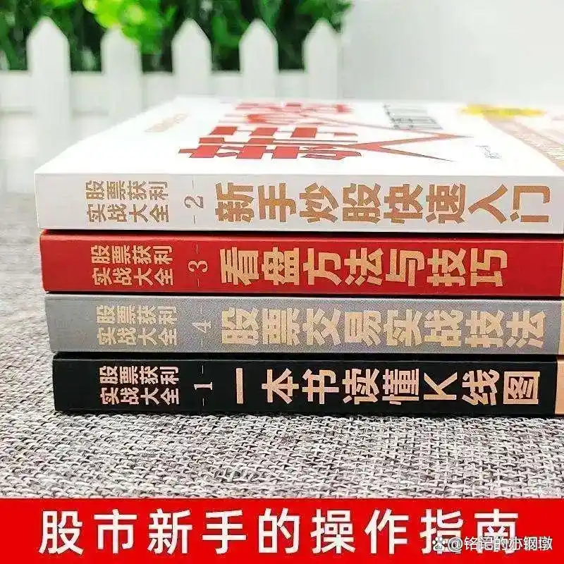炒股怎么赚钱_炒股把握时机策略_炒股换手率特征