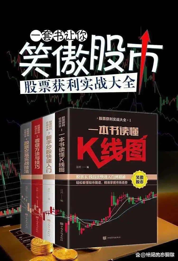 炒股怎么赚钱_炒股把握时机策略_炒股换手率特征