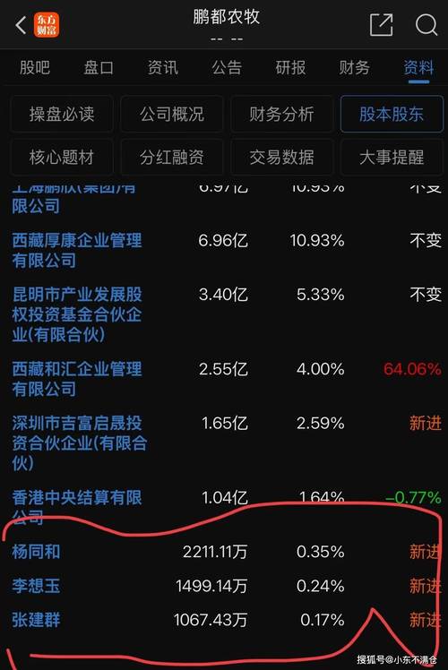 临近年末配资平台被点名，庄股东控十一连跌停引散户哀嚎
