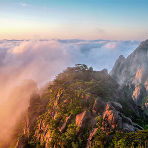 网贷资金未到账如何处理_网贷未到账处理方法_资金未到账说明