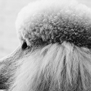 网贷未到账处理方法_网贷资金未到账如何处理_资金未到账说明