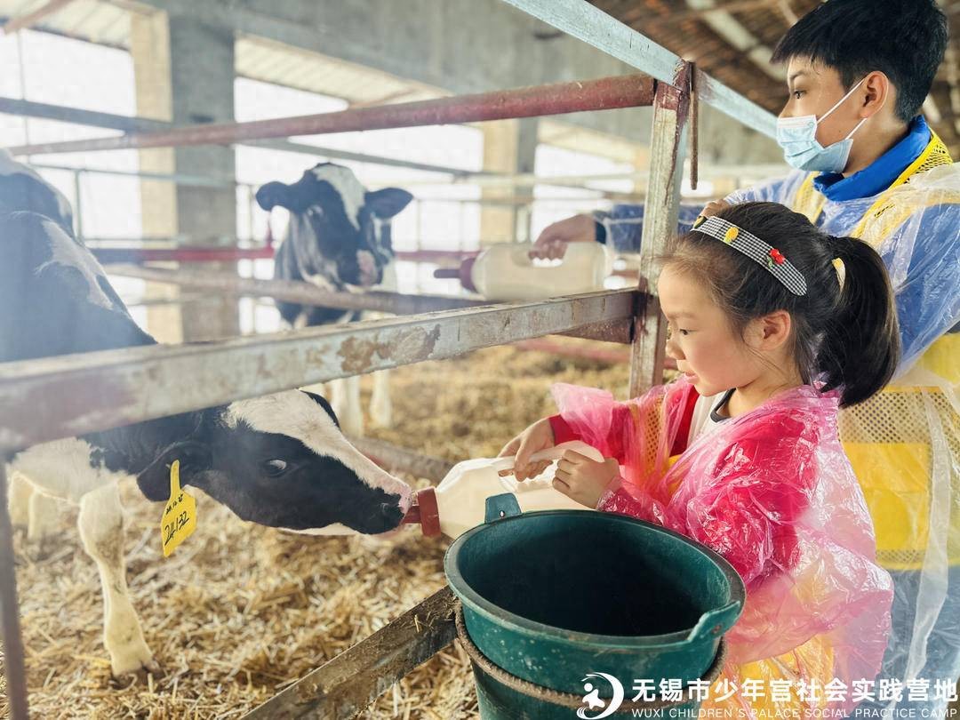 无锡有没有牛奶代理商？天资乳业带你走进奶牛场，探寻牛奶奥秘